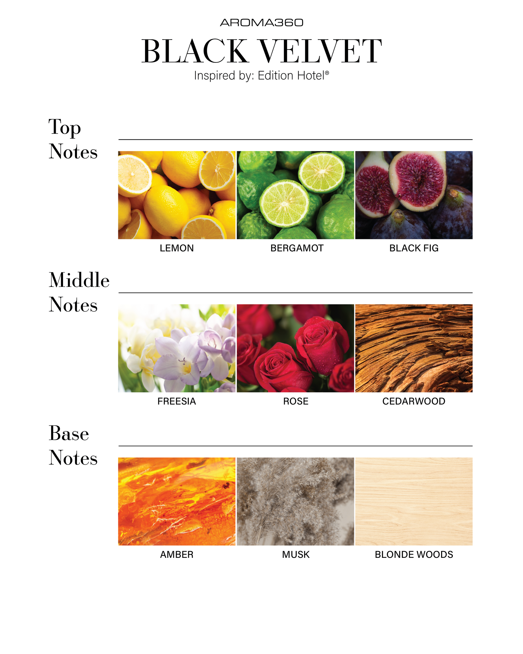 زيت ناشر السيارة الذكية